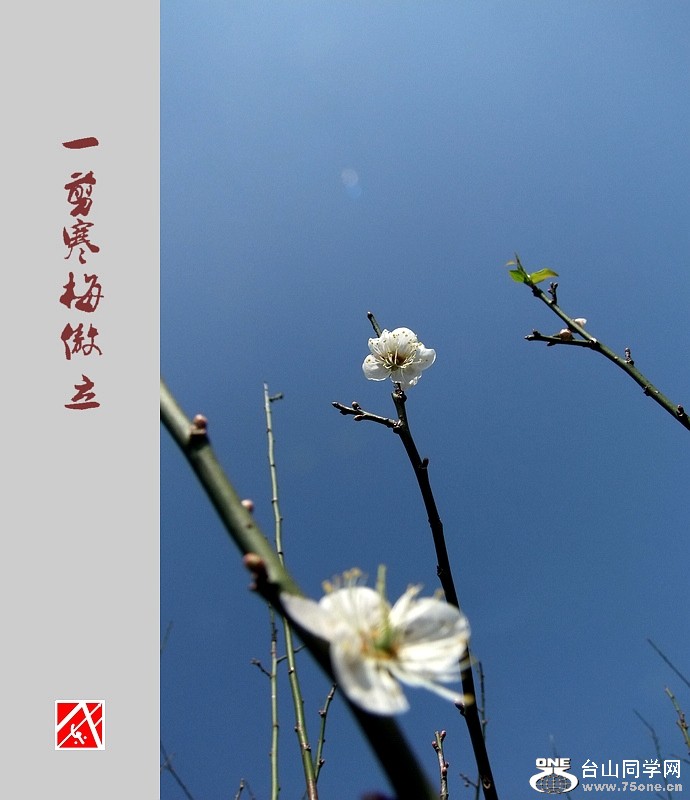 DSCF2907.jpg
