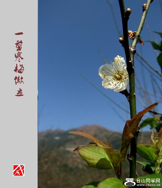 DSCF2908.jpg