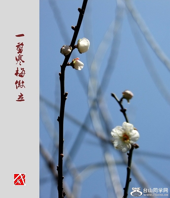 DSCF2890.jpg