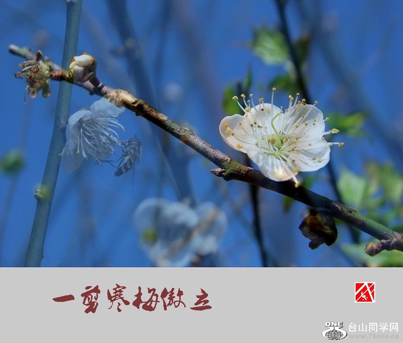 DSCF2889.jpg