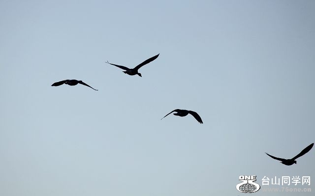 IMG_8790.jpg