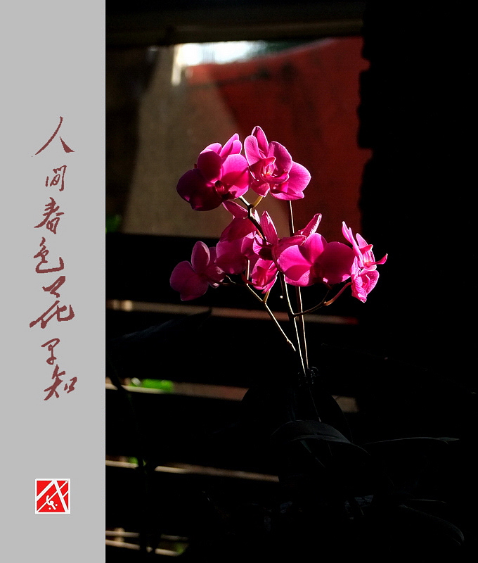 DSCF3037.jpg