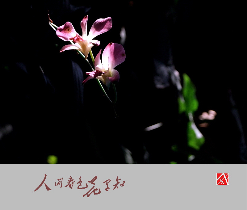 DSCF3031.jpg