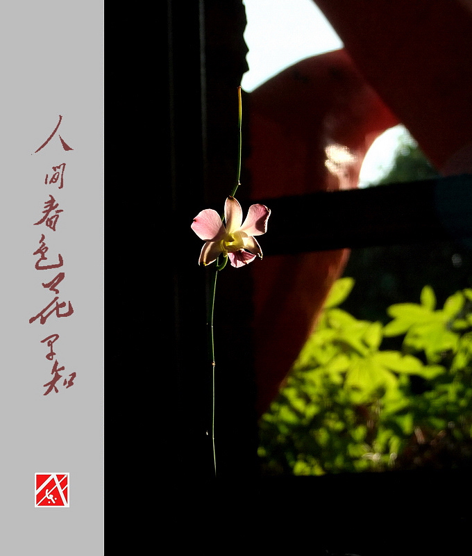 DSCF3036.jpg
