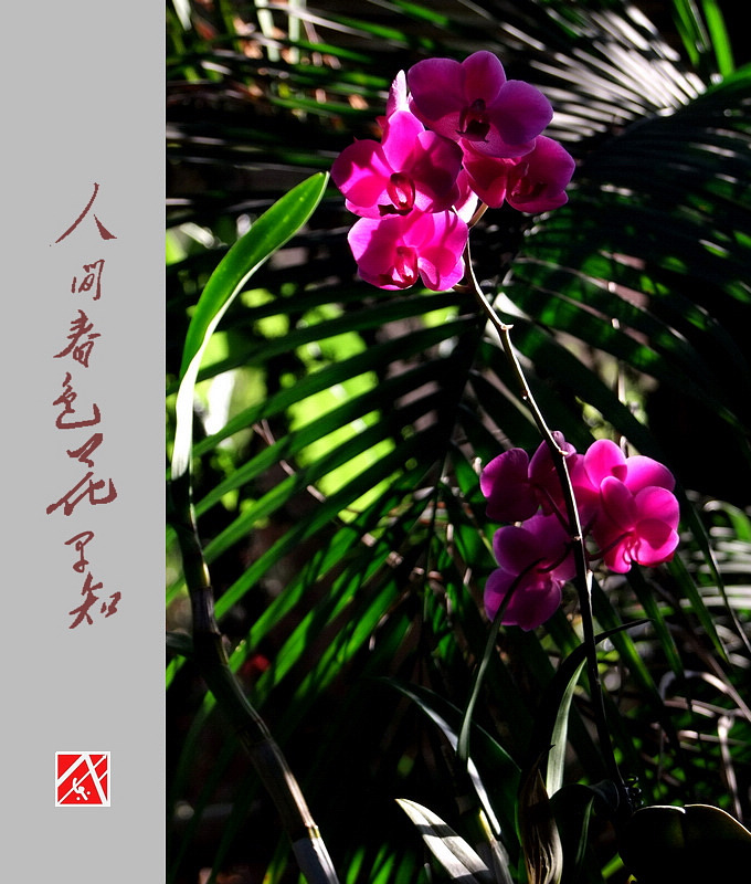 DSCF3038.jpg