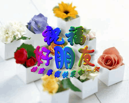 20090402_95b609923200c4829994NrsgPKaI6u1Q.gif
