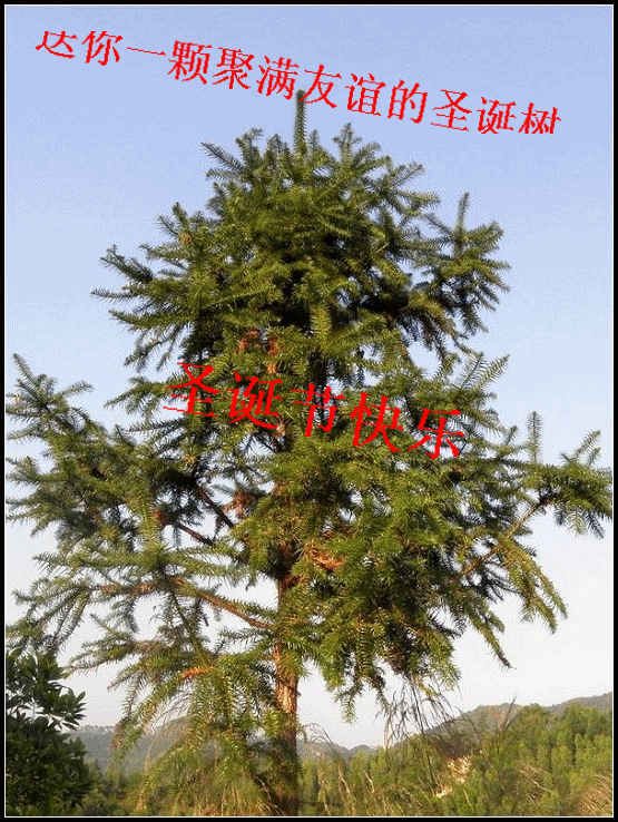 59_2978_a50697567e02f3f_conew1.gif
