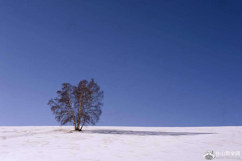 _DSC3399_СС.jpg