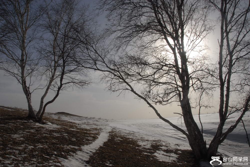 _DSC6051_СС.JPG