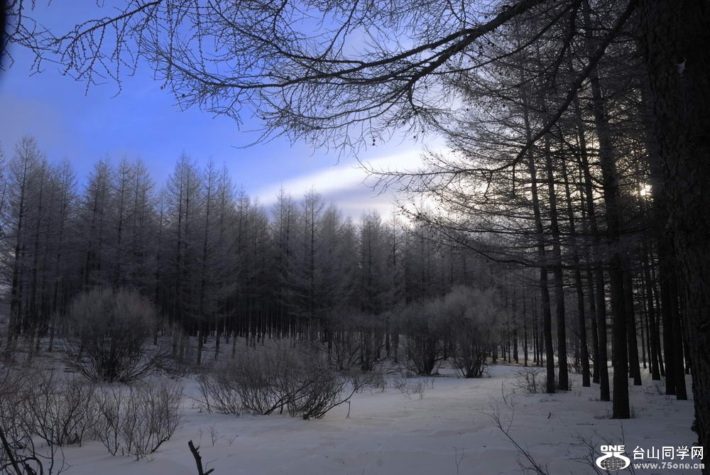 _DSC6212_СС.jpg