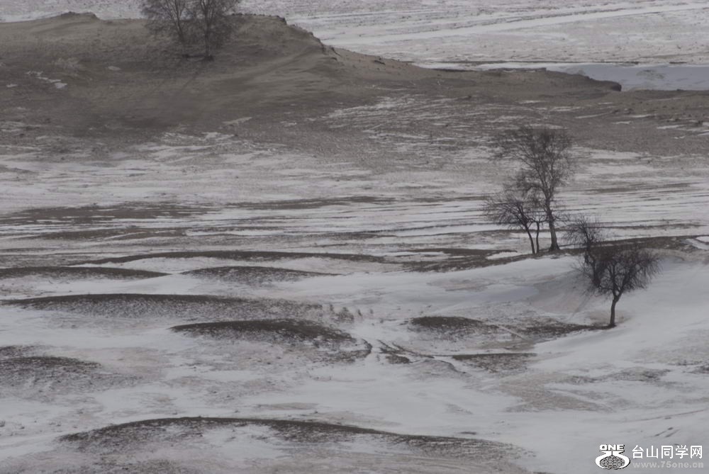 _DSC6004_СС.JPG