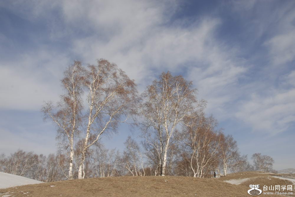 _DSC5946_СС.JPG