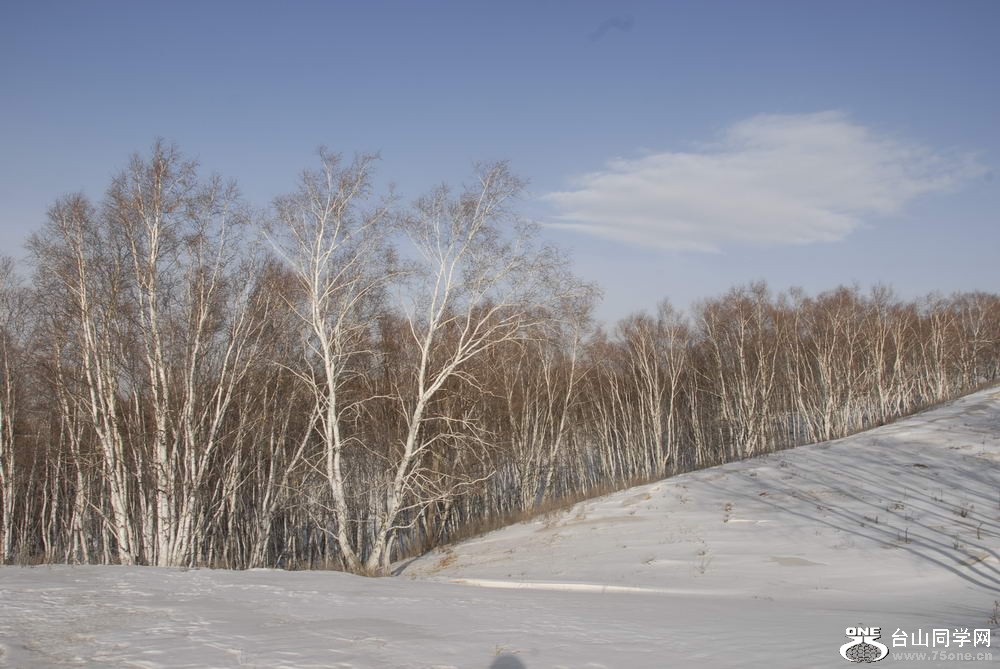 _DSC6062_СС.JPG