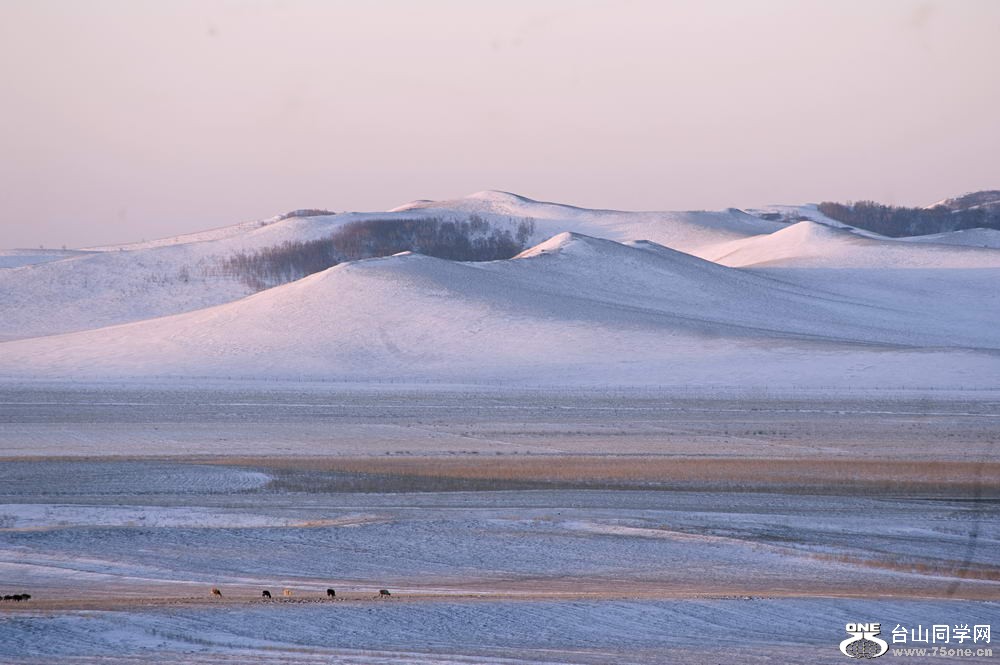 _DSC3290_СС.jpg