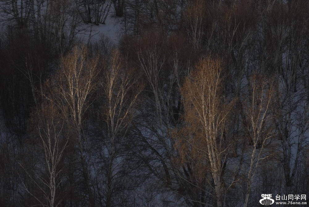 _DSC5806_СС.JPG