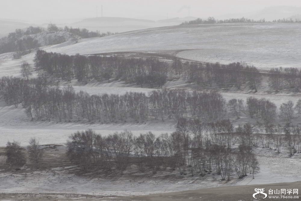 _DSC6006_СС.JPG