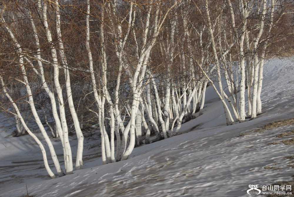 _DSC6072_СС.JPG