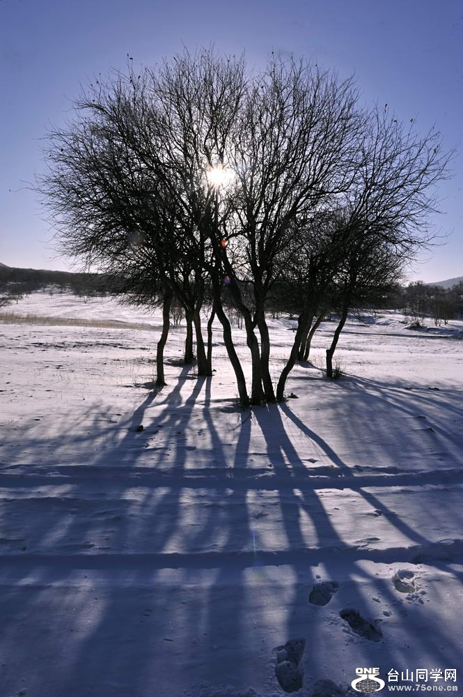 _DSC3344_СС.jpg