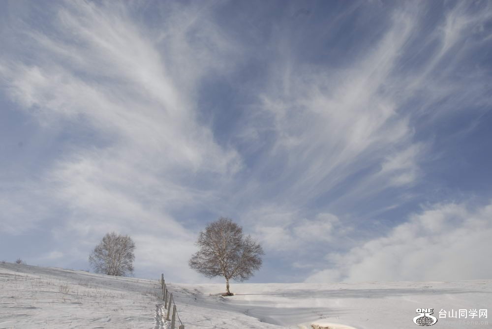 _DSC5984_СС.JPG