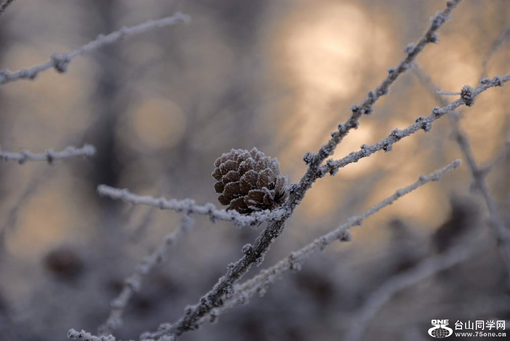 _DSC6209_СС.jpg
