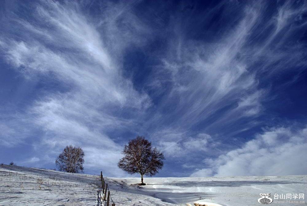 _DSC5984_СС.jpg