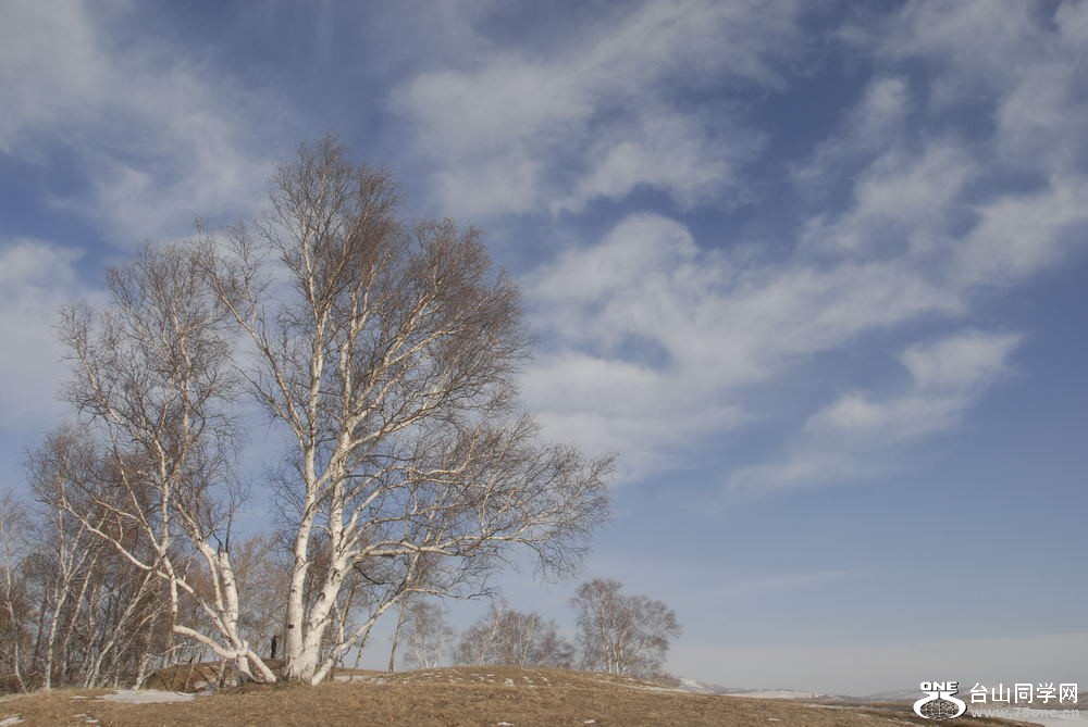 _DSC5944_СС.JPG