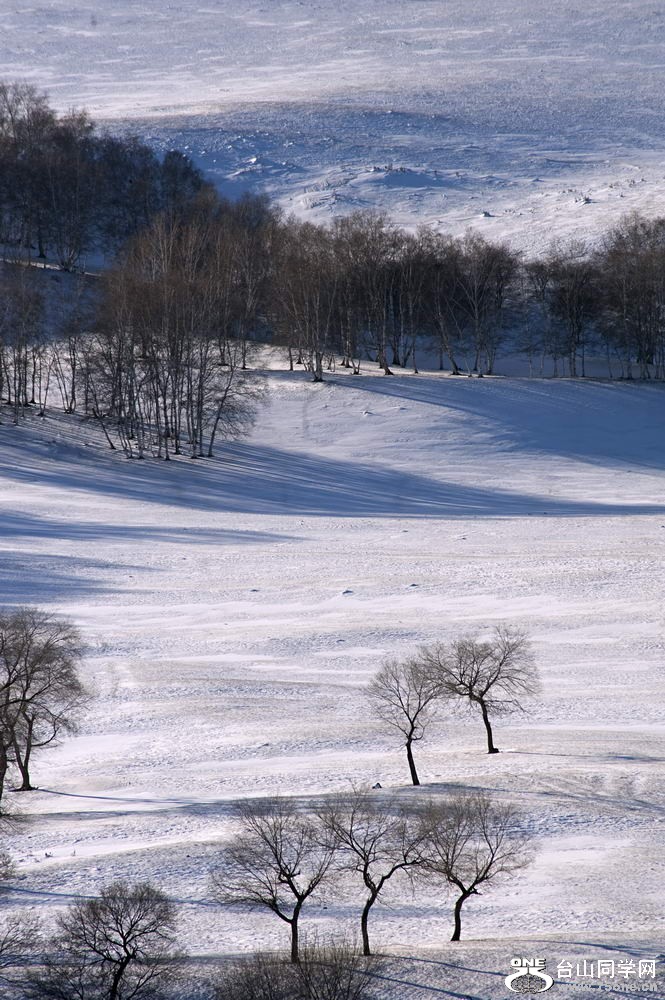 _DSC3432_СС.jpg