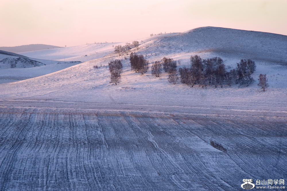 _DSC3287_СС.jpg