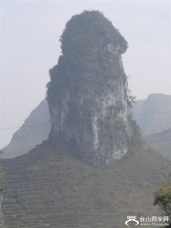 445.jpg