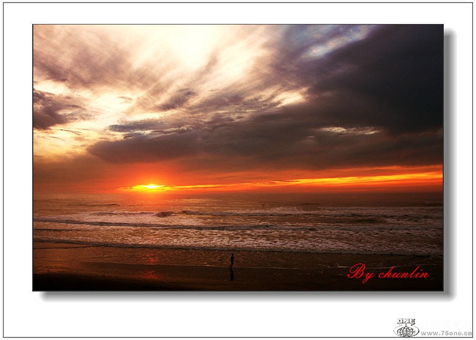 IMG_8503ab.jpg