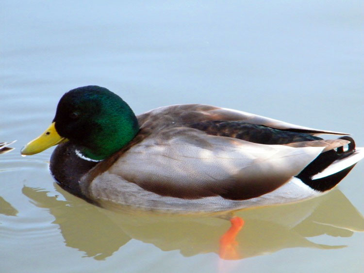 200942963910.jpg