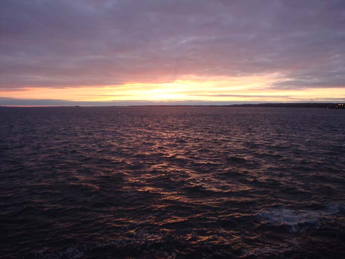 DSC02384.JPG