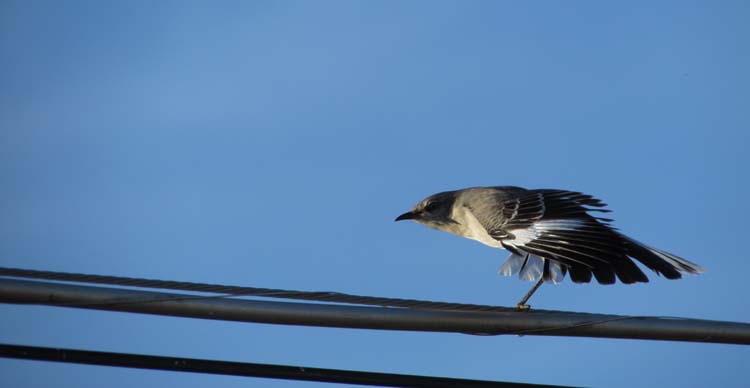 IMG_0627.JPG
