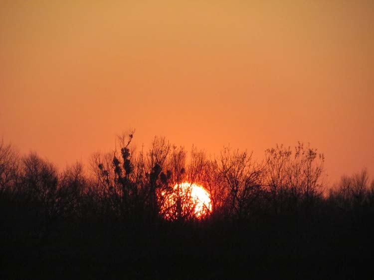IMG_1482.JPG