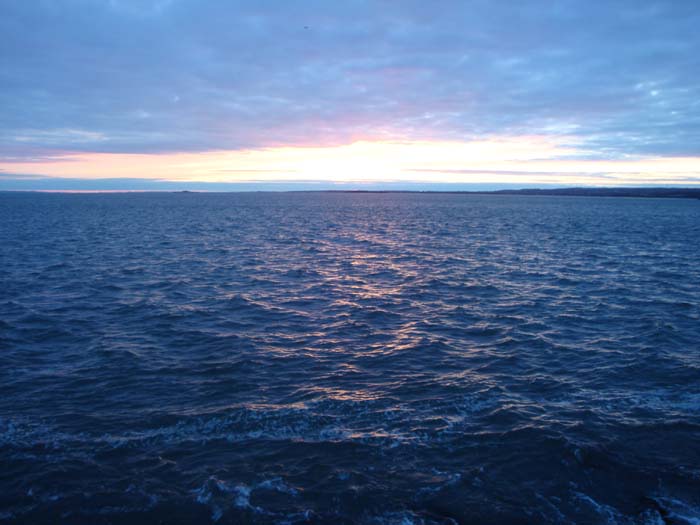 DSC02395.JPG