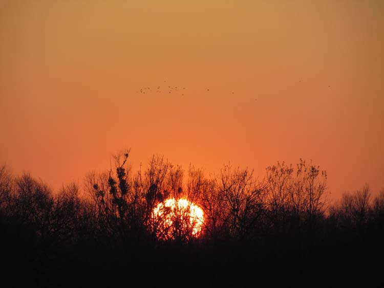 IMG_1480.JPG