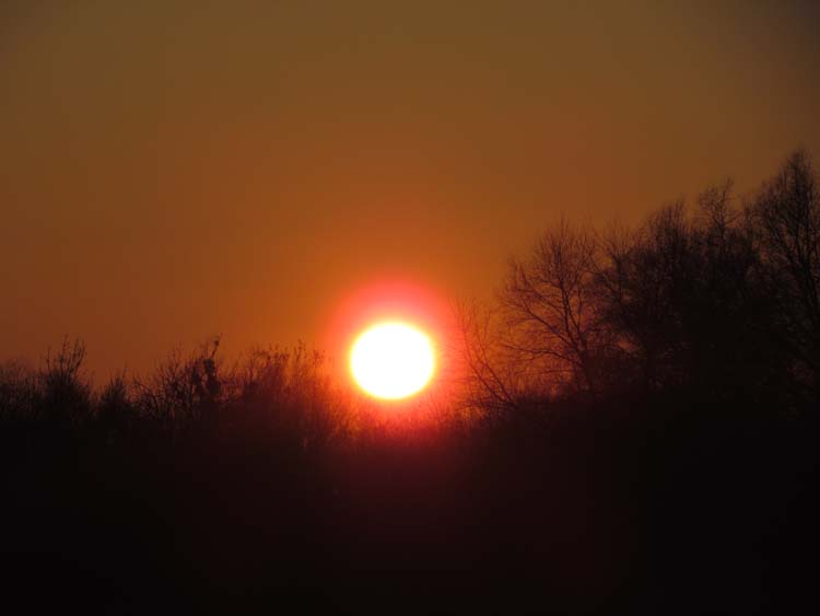 IMG_1462.JPG
