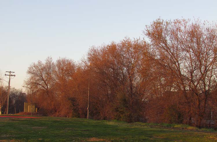 IMG_1432.JPG