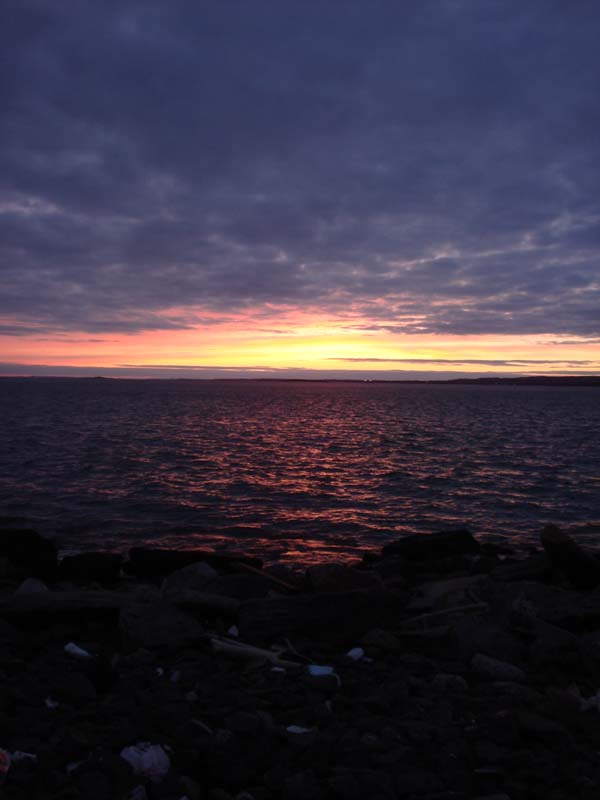 DSC02429.JPG