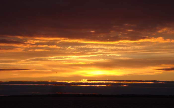 DSC02375.JPG