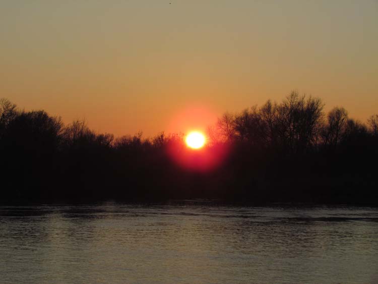 IMG_1468.JPG