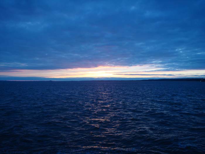DSC02397.JPG