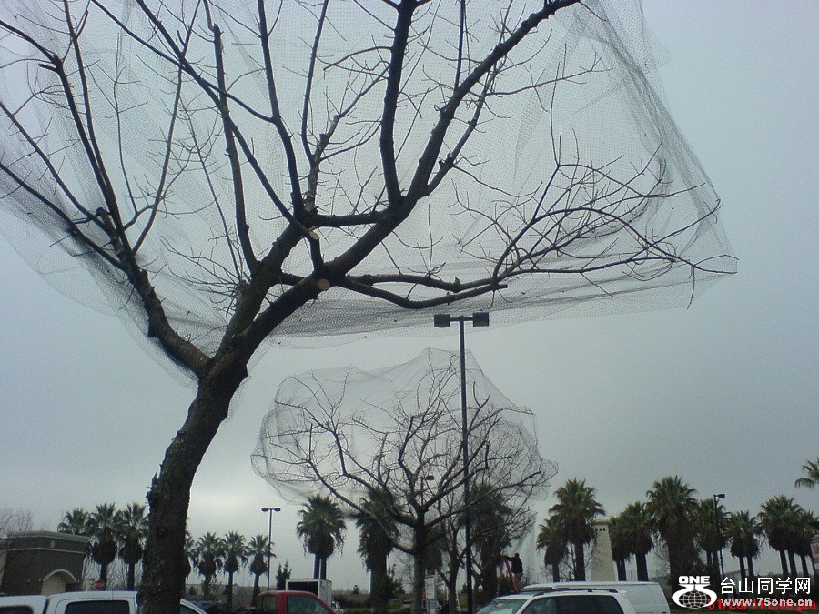 n001.jpg