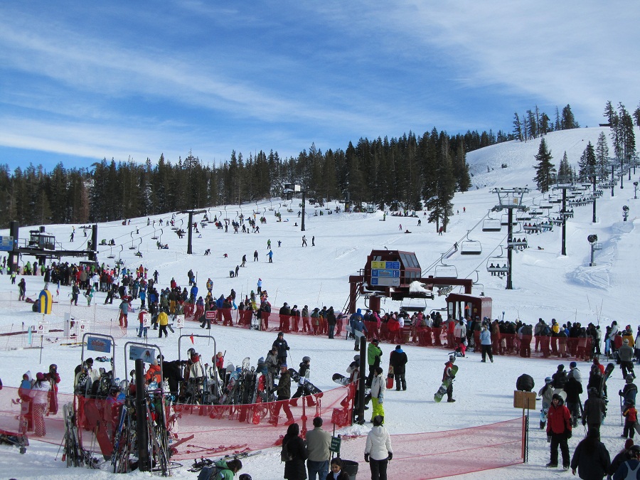 n016.jpg