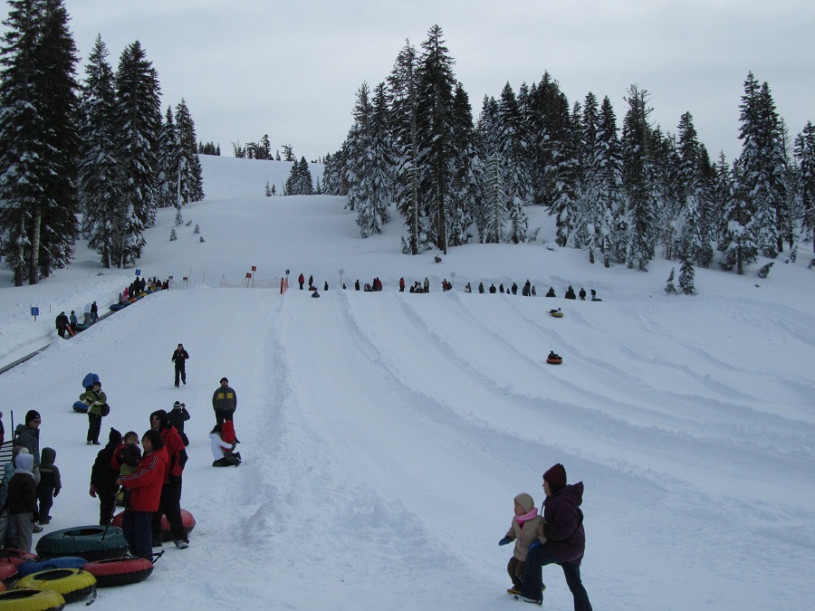 n036.jpg