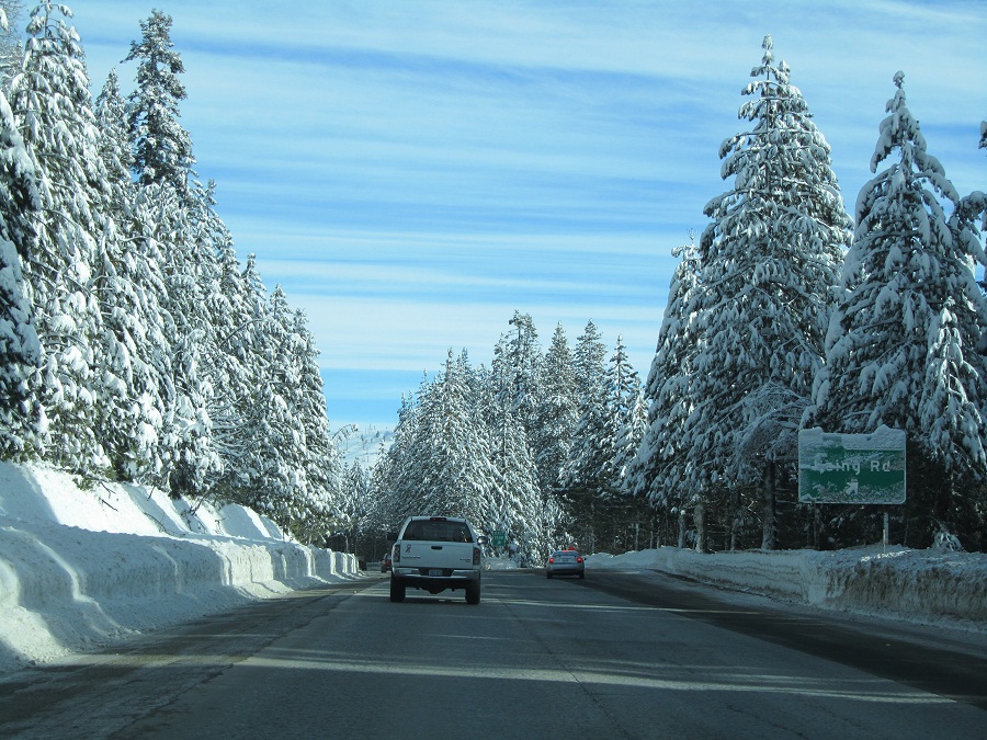 n013.jpg