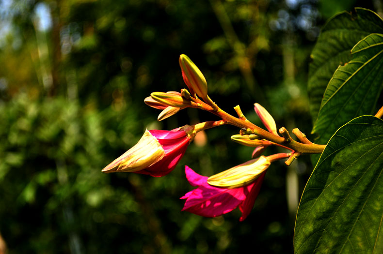 DSC_0088.jpg
