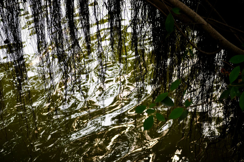 DSC_0057.jpg