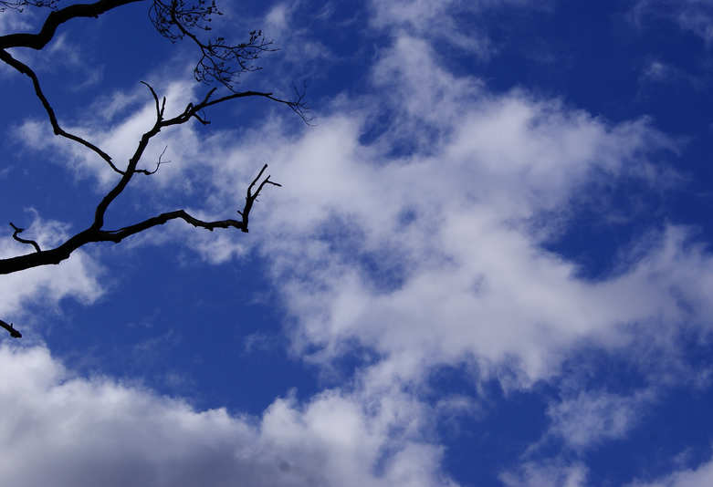 p6.jpg