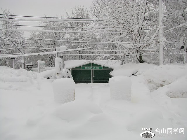 517.JPG